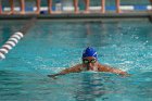 Swimming vs Babson  Wheaton College Swimming vs Babson College. - Photo By: KEITH NORDSTROM : Wheaton, Swimming, Babson